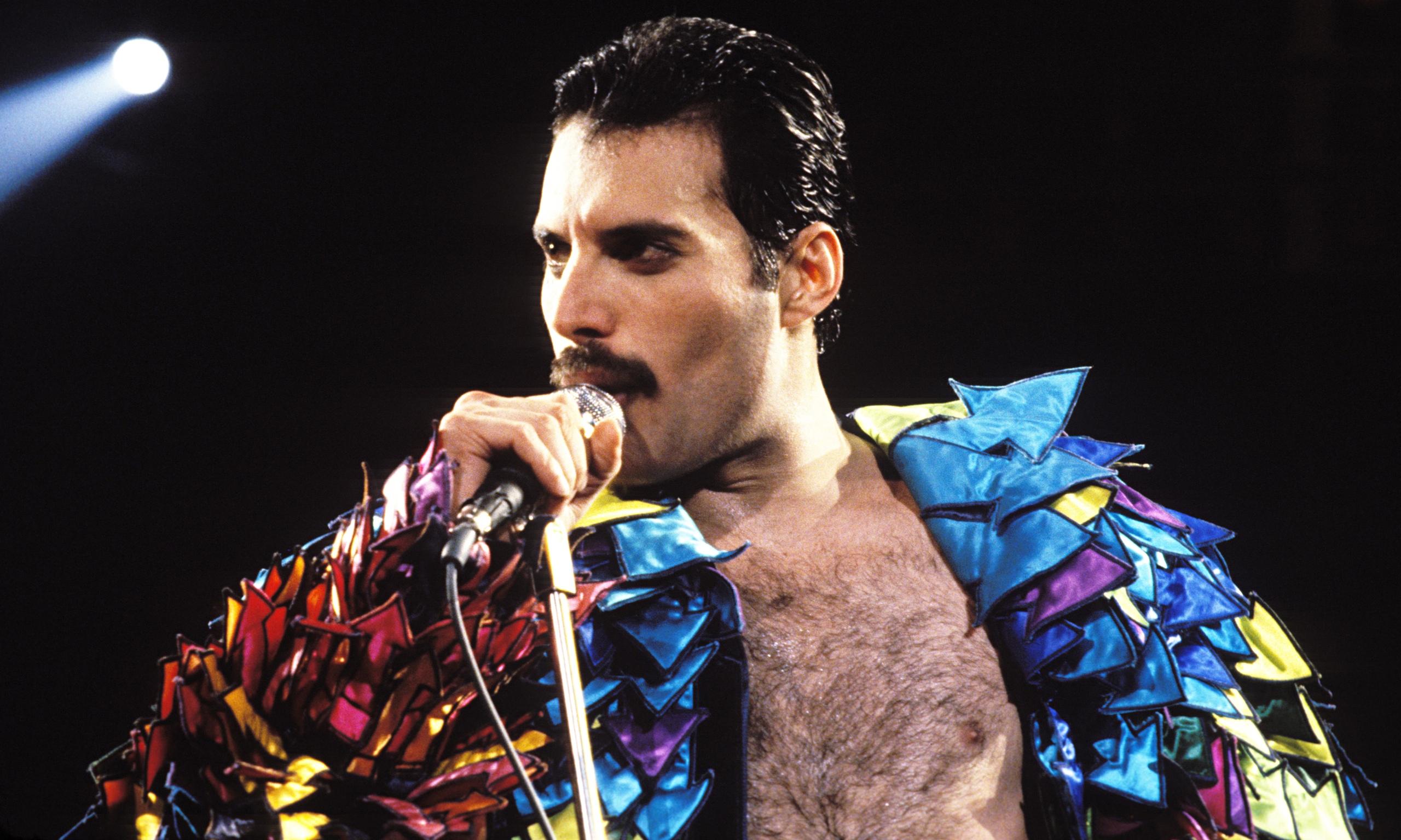 Freddie Mercury | 5 settembre 1946 – 24 novembre 1991